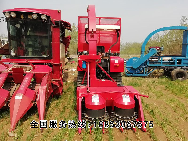 青貯機(jī)的維護(hù)保養(yǎng)