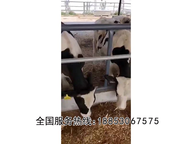 全日糧匯合飼料攪拌機(jī)實拍視頻